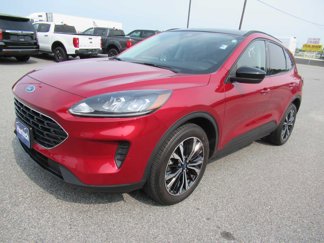 Used 2022 Ford Escape SE w/ SE Sport Appearance Package image 1