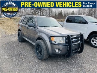 Used 2009 Ford Escape XLT image 1