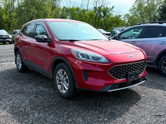 Used 2022 Ford Escape SE w/ Convenience Package image 1