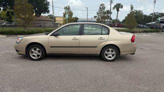 Used 2004 Chevrolet Malibu image 1