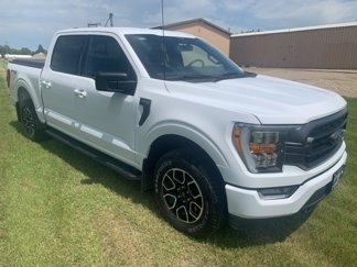 Used 2023 Ford F150 XLT w/ Equipment Group 302A High image 1