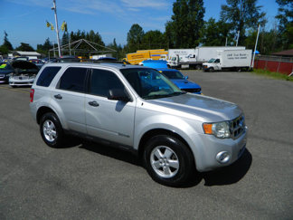 Used 2008 Ford Escape XLT image 1