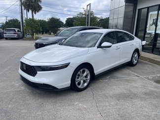 Used 2024 Honda Accord LX image 1