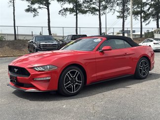 Used 2023 Ford Mustang Premium image 1