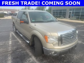 Used 2010 Ford F150 XLT image 1
