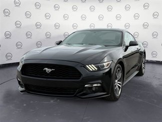 Used 2016 Ford Mustang Coupe image 1
