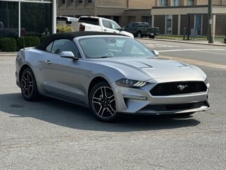 Used 2023 Ford Mustang Premium image 1