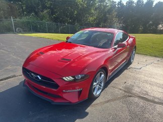 Used 2020 Ford Mustang Premium w/ Equipment Group 201A image 1