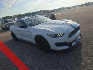 Used 2017 Ford Mustang Shelby GT350 image 1