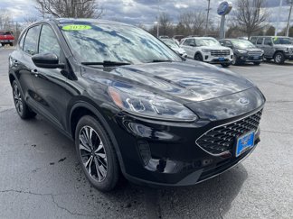 Used 2022 Ford Escape SE w/ SE Sport Appearance Package image 1