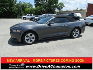 Used 2016 Ford Mustang Convertible image 1