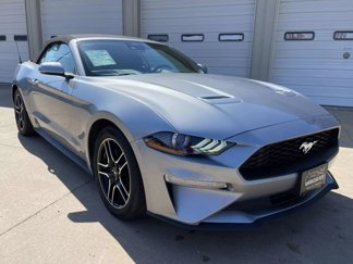 Used 2022 Ford Mustang Premium image 1