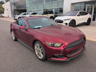 Used 2016 Ford Mustang Premium w/ Pony Package image 1