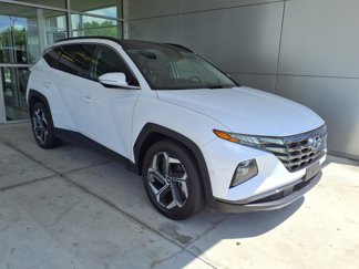 Used 2024 Hyundai Tucson Limited image 1