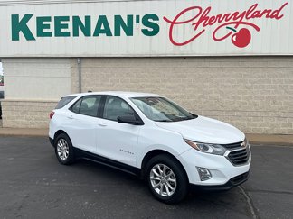 Used 2019 Chevrolet Equinox LS image 1