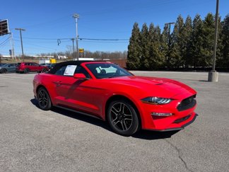 Used 2023 Ford Mustang Premium image 1