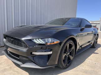 Used 2021 Ford Mustang Coupe w/ Equipment Group 101A image 1