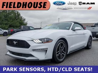 Used 2022 Ford Mustang Premium image 1