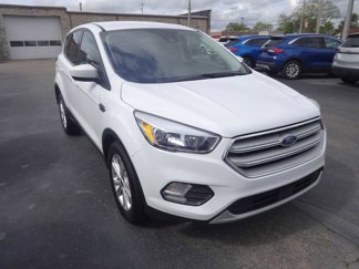 Used 2019 Ford Escape SE image 1