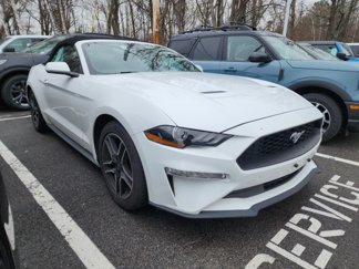 Certified 2023 Ford Mustang Premium image 1