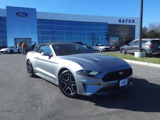 Certified 2022 Ford Mustang Premium image 1