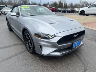 Used 2023 Ford Mustang Premium image 1