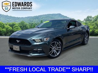 Used 2015 Ford Mustang Premium image 1