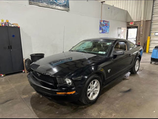 Used 2009 Ford Mustang Coupe image 1