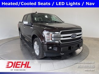 Used 2019 Ford F150 Platinum image 1