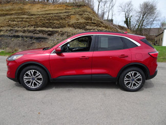 Used 2020 Ford Escape SEL image 1