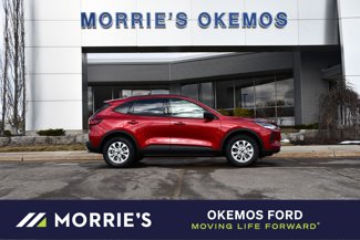 Used 2025 Ford Escape Active w/ Tech Pack #1 image 1