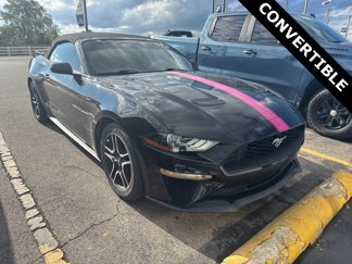Used 2019 Ford Mustang Premium image 1