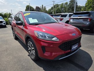 Used 2020 Ford Escape SE Sport image 1