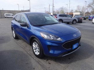 Used 2022 Ford Escape SE w/ Convenience Package image 1