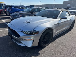 Used 2019 Ford Mustang Premium image 1