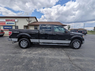 Used 2014 Ford F150 XLT w/ Equipment Group 302A Luxury image 1