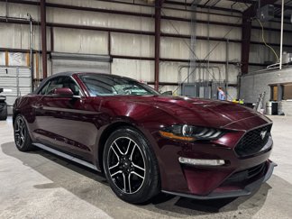 Used 2018 Ford Mustang Premium w/ Equipment Group 201A image 1