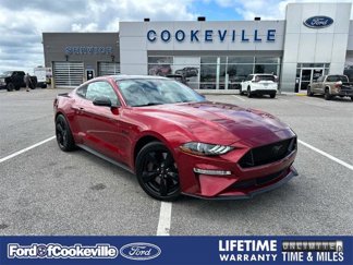 Certified 2021 Ford Mustang GT Premium w/ Black Accent Package image 1