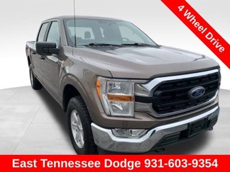Used 2019 Ford F150 XLT w/ Equipment Group 301A Mid image 1