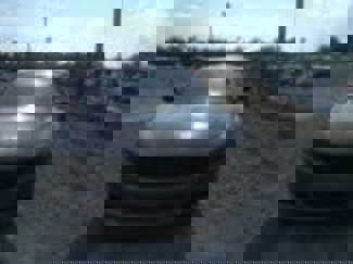Used 2023 Dodge Charger SXT image 1
