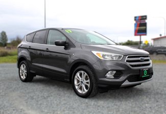 Used 2017 Ford Escape SE image 1