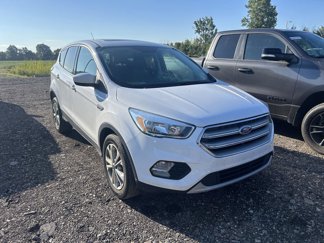 Used 2017 Ford Escape SE image 1