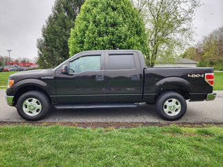 Used 2013 Ford F150 XLT w/ XLT Convenience Pkg image 1