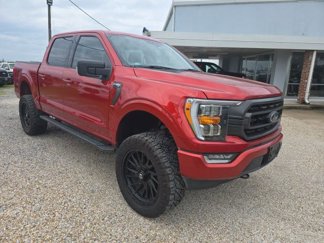 Used 2023 Ford F150 XLT w/ Equipment Group 302A High image 1