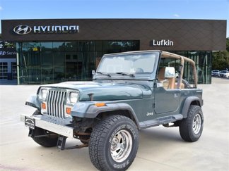 Used 1993 Jeep Wrangler 4WD image 1