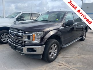 Used 2019 Ford F150 XLT w/ Equipment Group 302A Luxury image 1