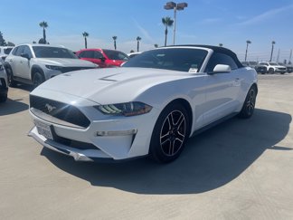 Used 2021 Ford Mustang Premium image 1