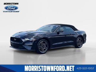 Certified 2023 Ford Mustang Premium image 1