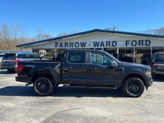New 2025 Ford F150 STX w/ STX Black Appearance Package image 1