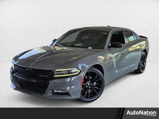 Used 2017 Dodge Charger SXT w/ Blacktop Package image 1